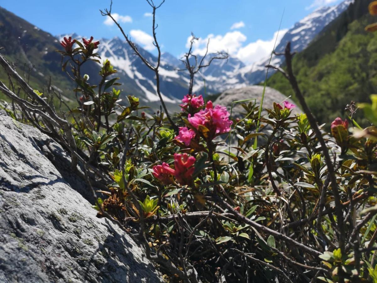 Piz-Hotel Sankt Leonhard im Pitztal Esterno foto