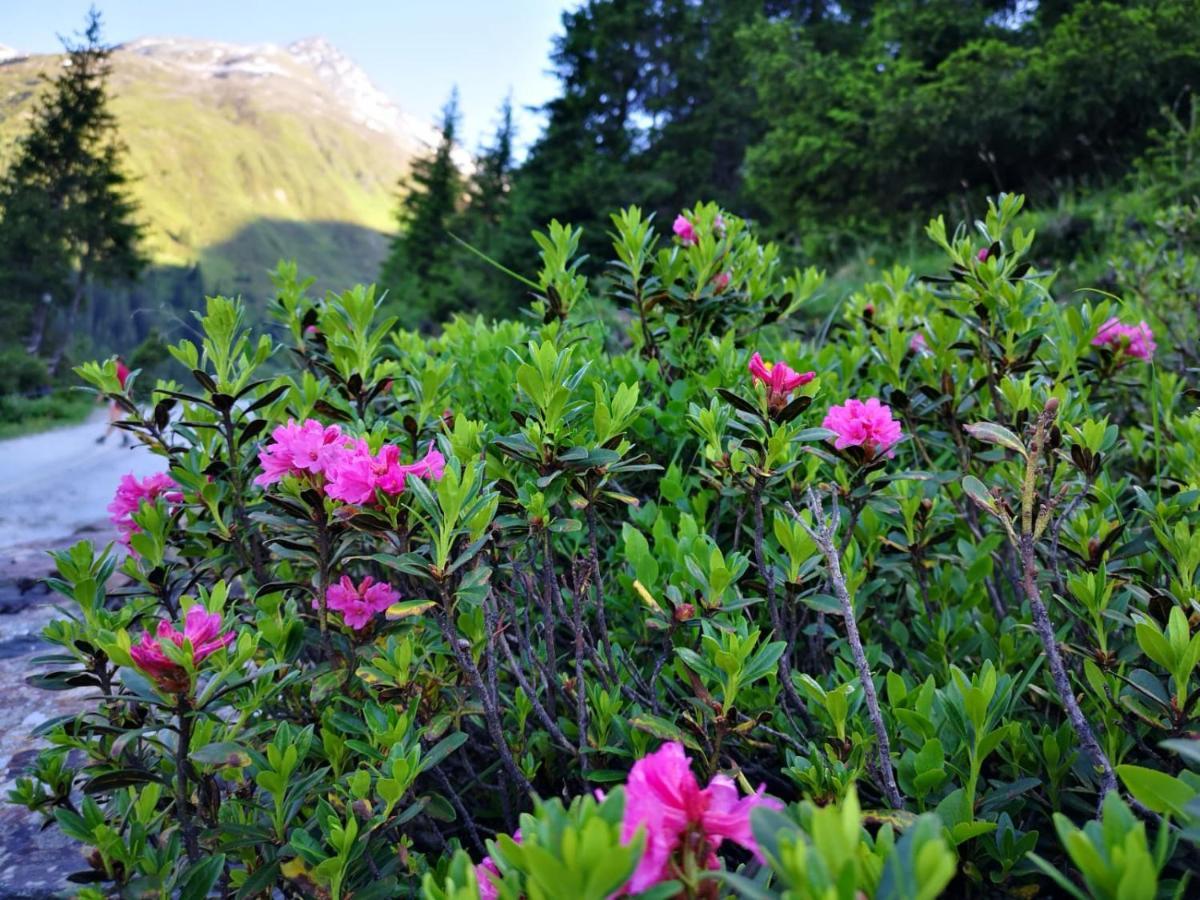 Piz-Hotel Sankt Leonhard im Pitztal Esterno foto
